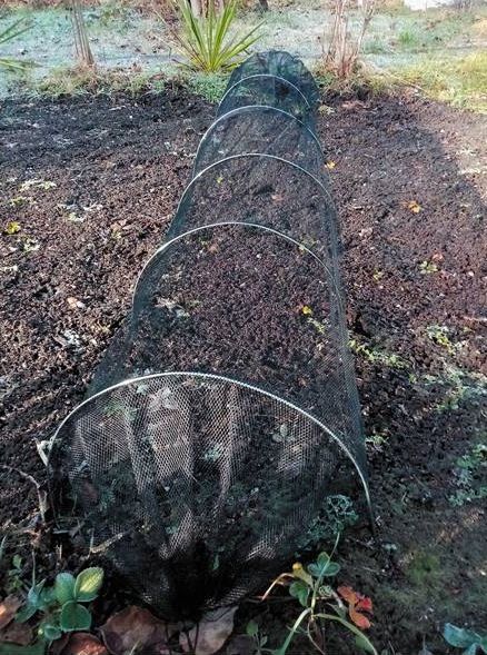 Ochranný tunel pro rostliny, černý, 3 m - Obrázek 2