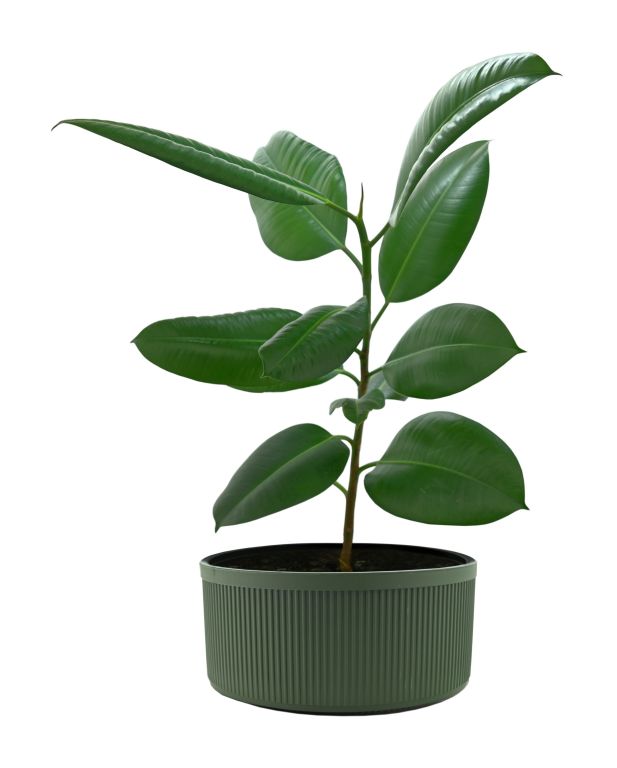 Stojan na vánoční stromek / květináč 5l - zelený - Obrázek 2