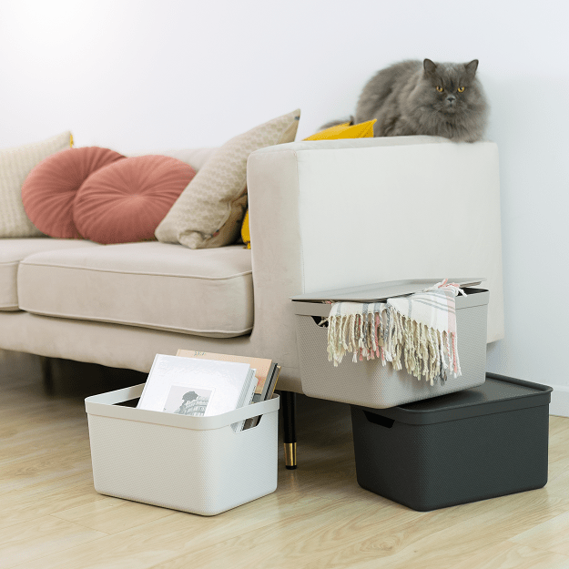 Rotho 92306 ROTHO Úložný box JIVE DECO 16 l, bílý - Obrázek 2