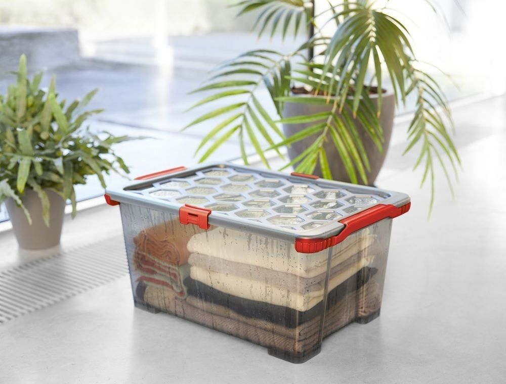 Rotho 92318 ROTHO Úložný box s víkem EVO TOTAL 65 L, plast - Obrázek 2