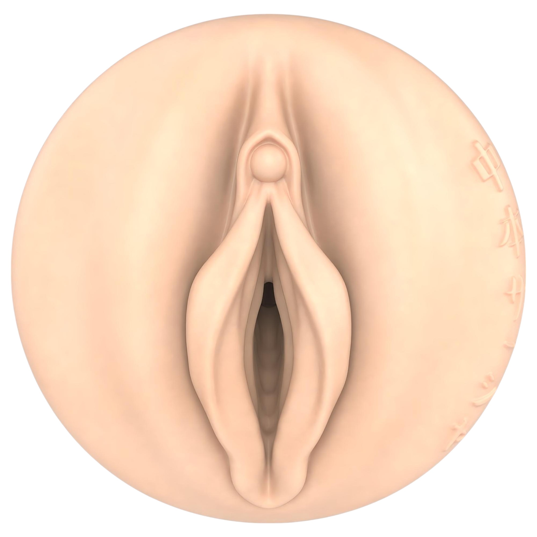 Fleshlight – Fantasy Sasha Nakamoto Ecchi vagina (natúr)