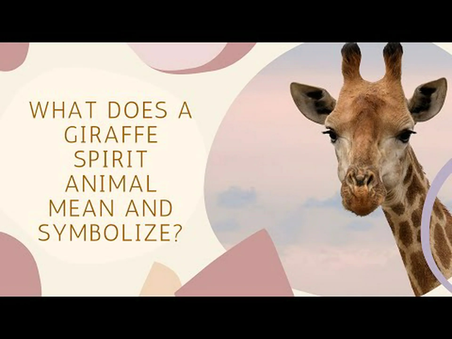 キリンの精霊動物の象徴性と意味 キリンの精霊動物の象徴性と意味