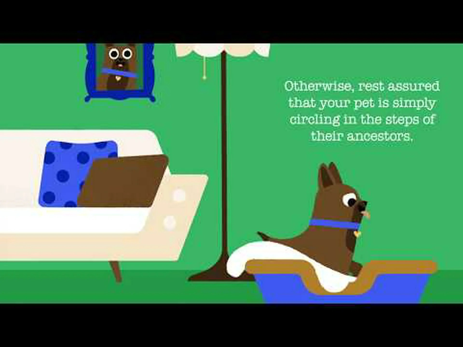 獣医師によると、犬が横になる前に円を描いて歩くのはこれが理由だという 獣医師によると、犬が横になる前に円を描いて歩くのはこれが理由だという