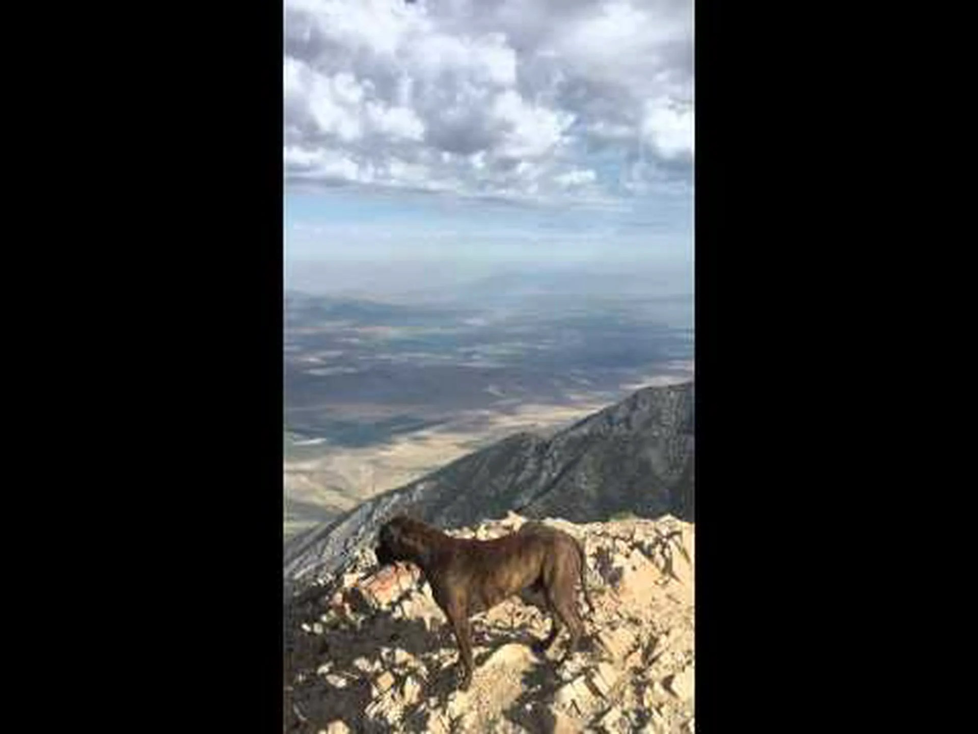 ユタ州のネボ山の実際の高さを知る ユタ州のネボ山の実際の高さを知る