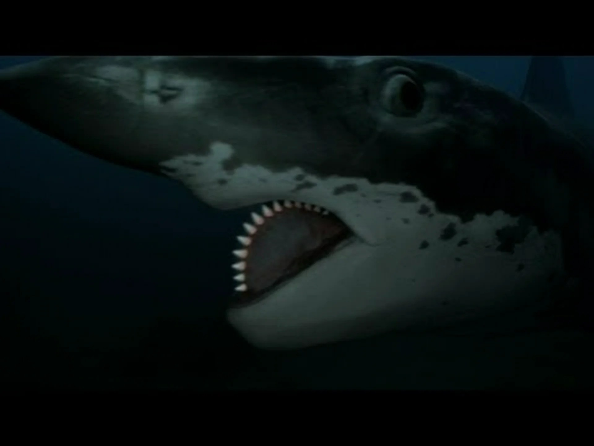 バズソーの顎で古代のサメの魚を発見 バズソーの顎で古代のサメの魚を発見