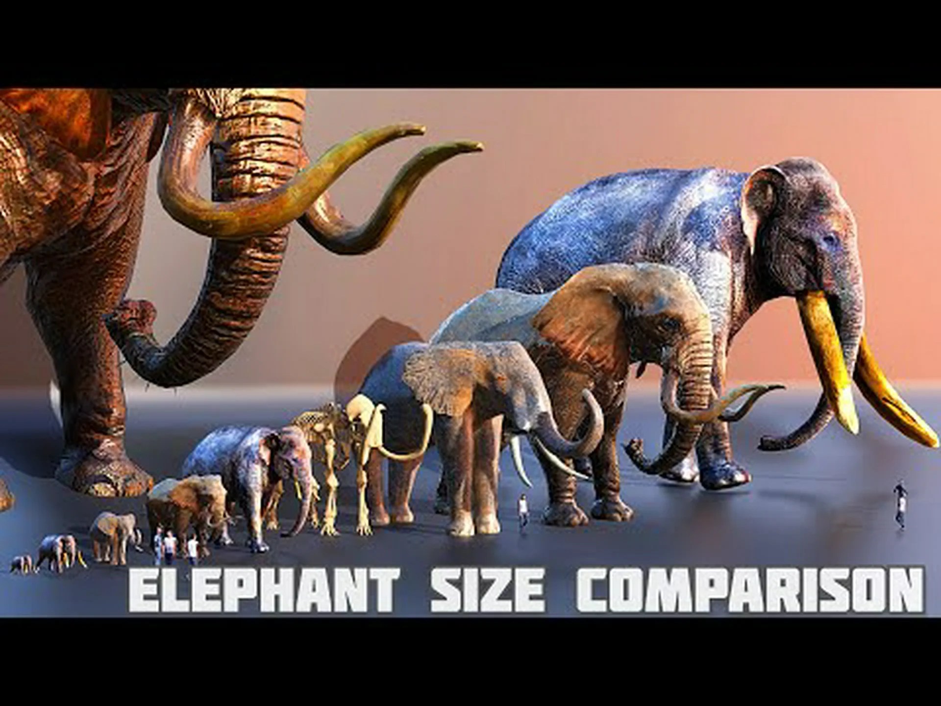 頭に 2 つの致命的な 3 フィートのスパイクを持つ古代ゾウを発見 頭に 2 つの致命的な 3 フィートのスパイクを持つ古代ゾウを発見