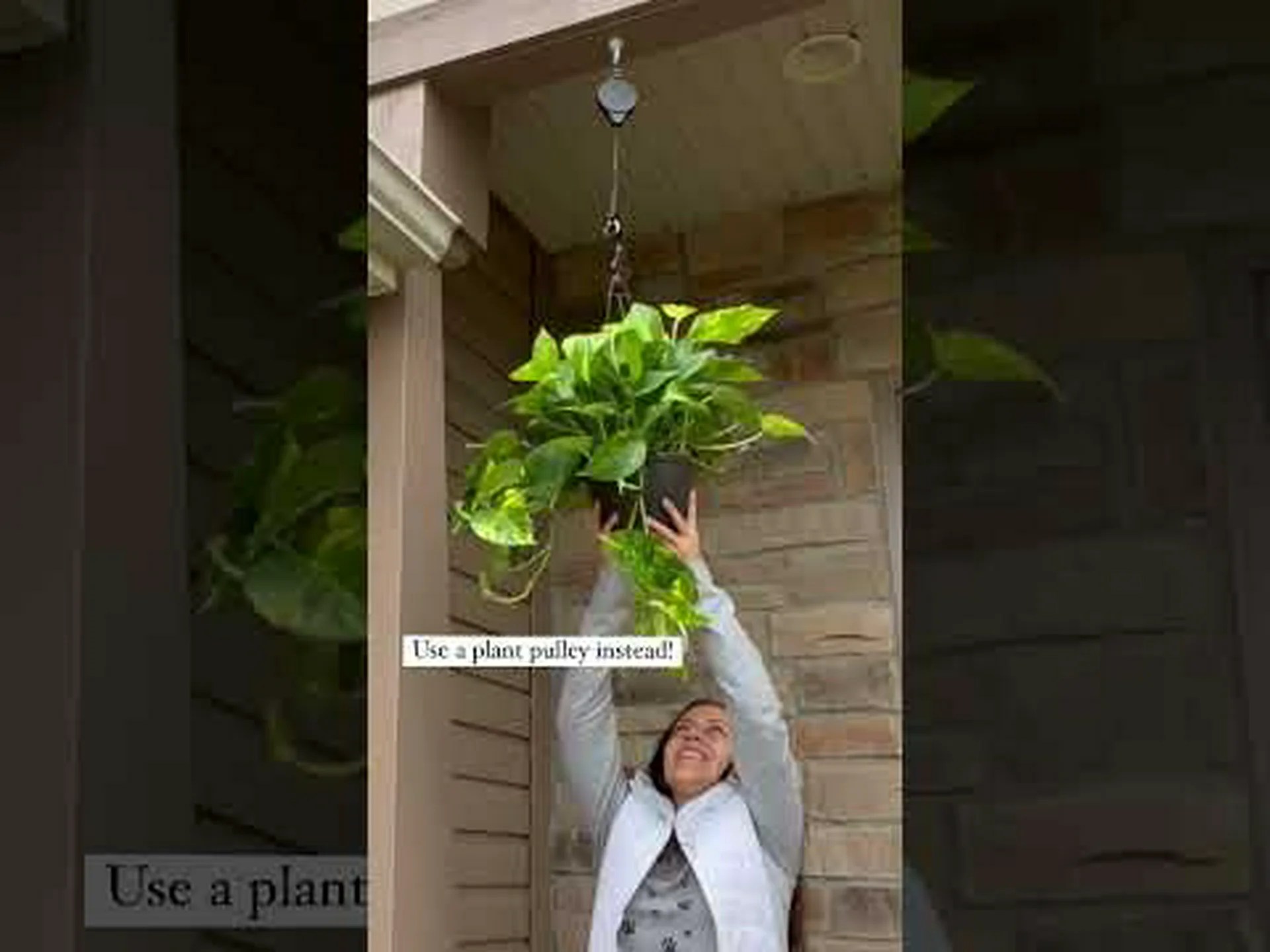 25 の素晴らしい屋内吊り下げ植物 (スペースに最適なものを見つける方法) 25 の素晴らしい屋内吊り下げ植物 (スペースに最適なものを見つける方法)