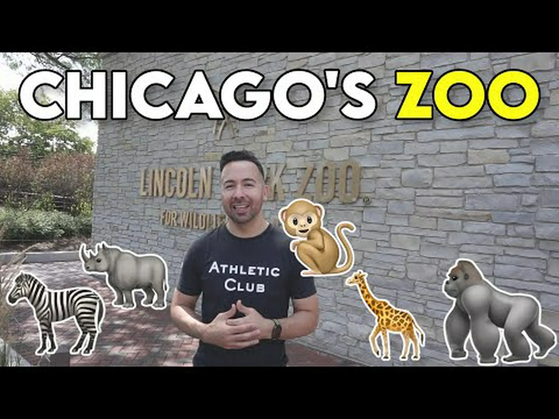 リンカーン パーク動物園:行くのに最適な時期 + 見るべき 5 つの素晴らしい動物の展示 リンカーン パーク動物園:行くのに最適な時期 + 見るべき 5 つの素晴らしい動物の展示