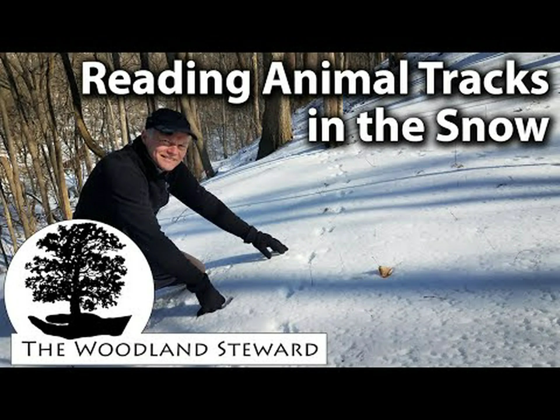 オポッサムの足跡: 雪、泥などの識別ガイド オポッサムの足跡: 雪、泥などの識別ガイド