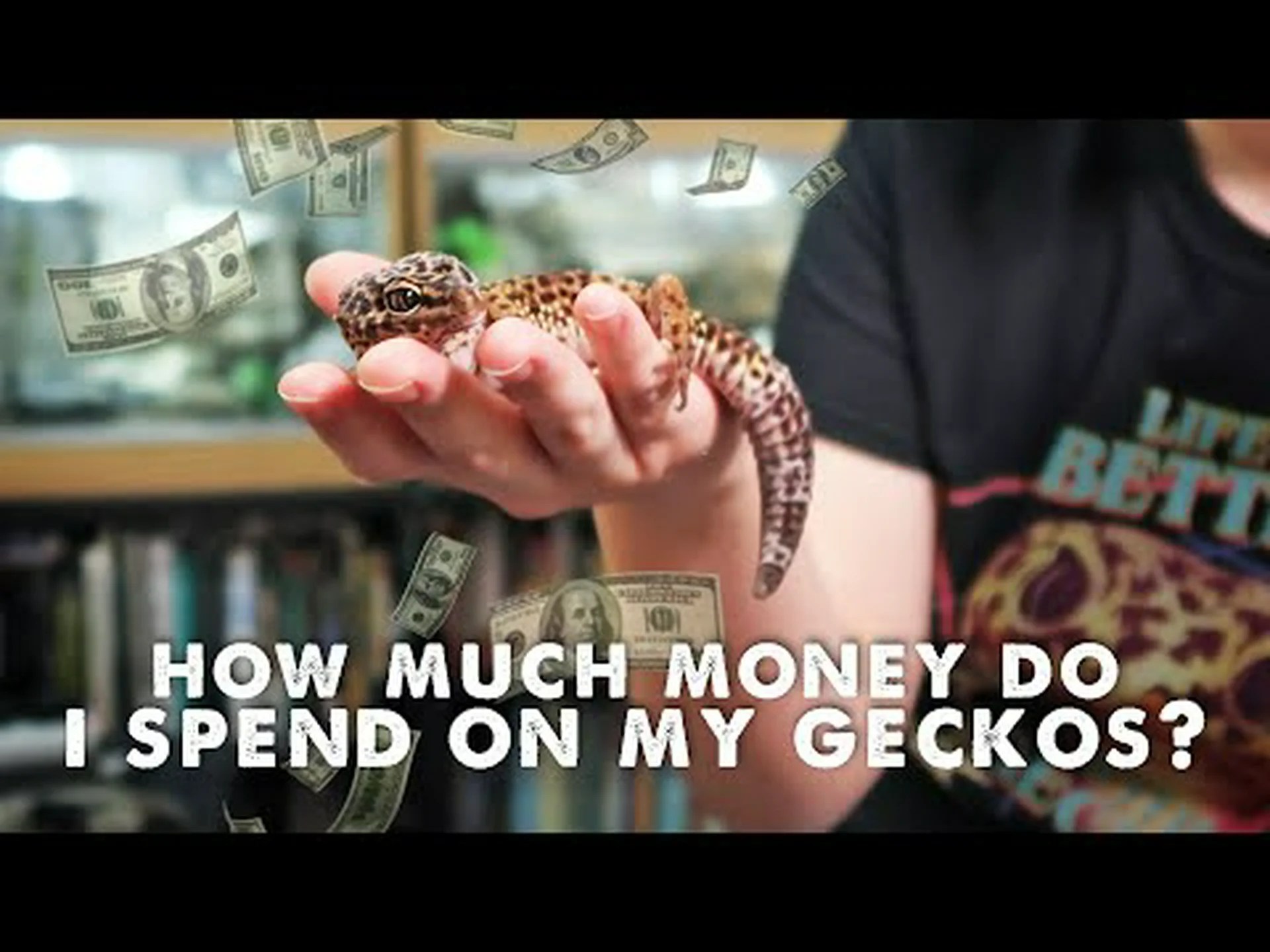 ヒョウモントカゲモドキの価格: ヒョウモントカゲモドキの価格はいくらですか? ヒョウモントカゲモドキの価格: ヒョウモントカゲモドキの価格はいくらですか?