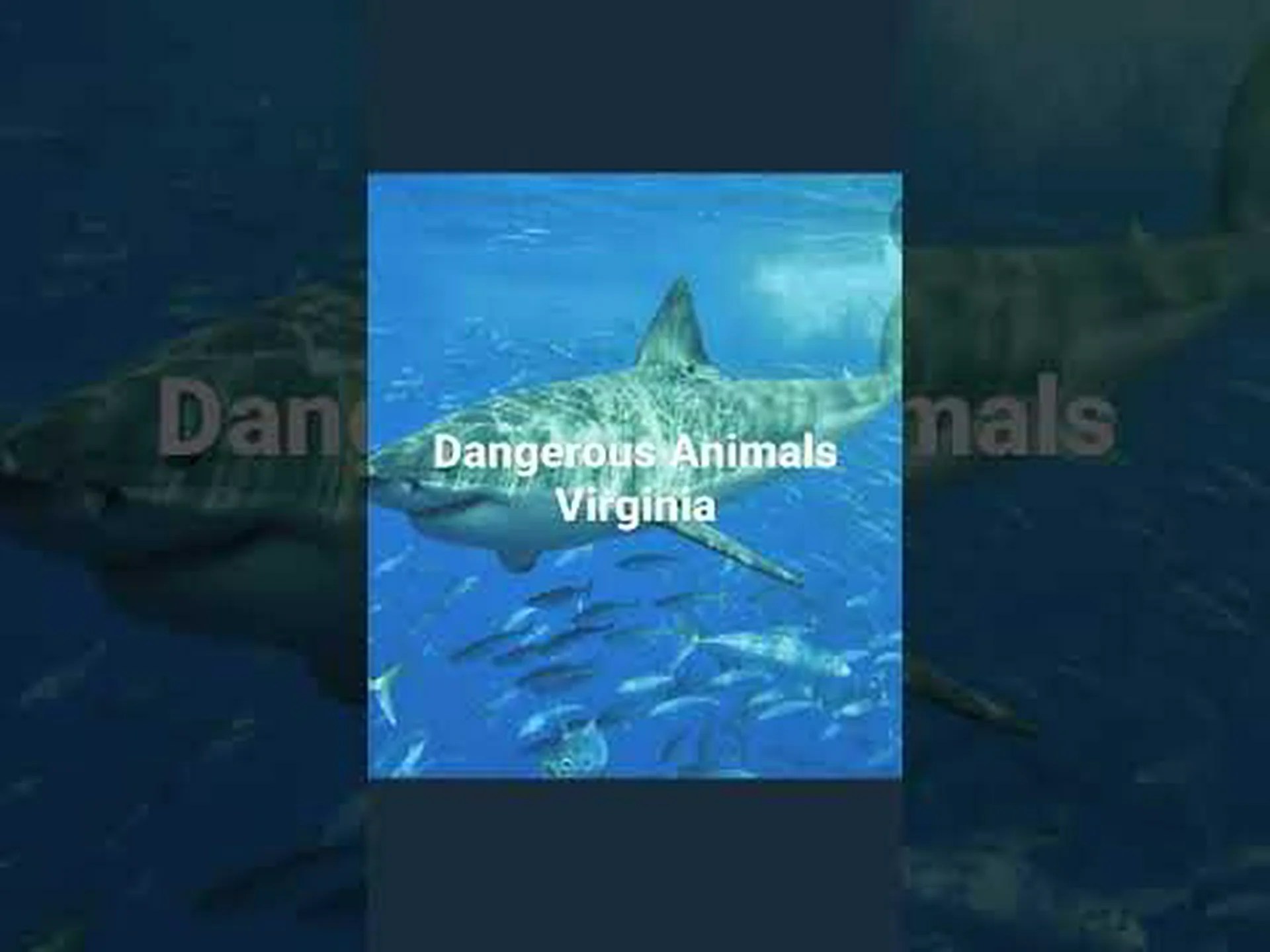 バージニア州の湖と川で見つかった 6 つの危険な動物に注意してください バージニア州の湖と川で見つかった 6 つの危険な動物に注意してください