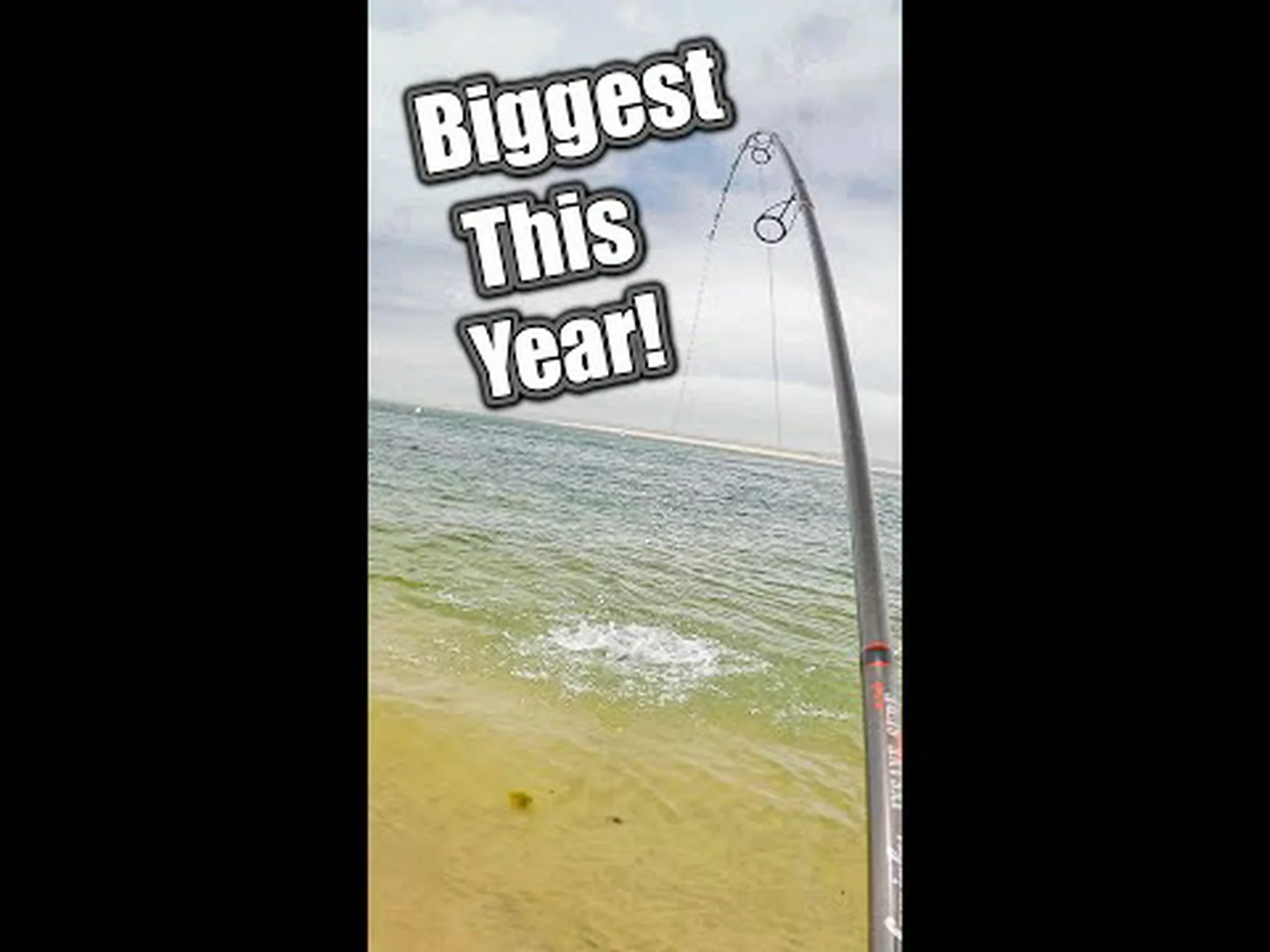 メイン州で史上最大の青魚を発見 メイン州で史上最大の青魚を発見