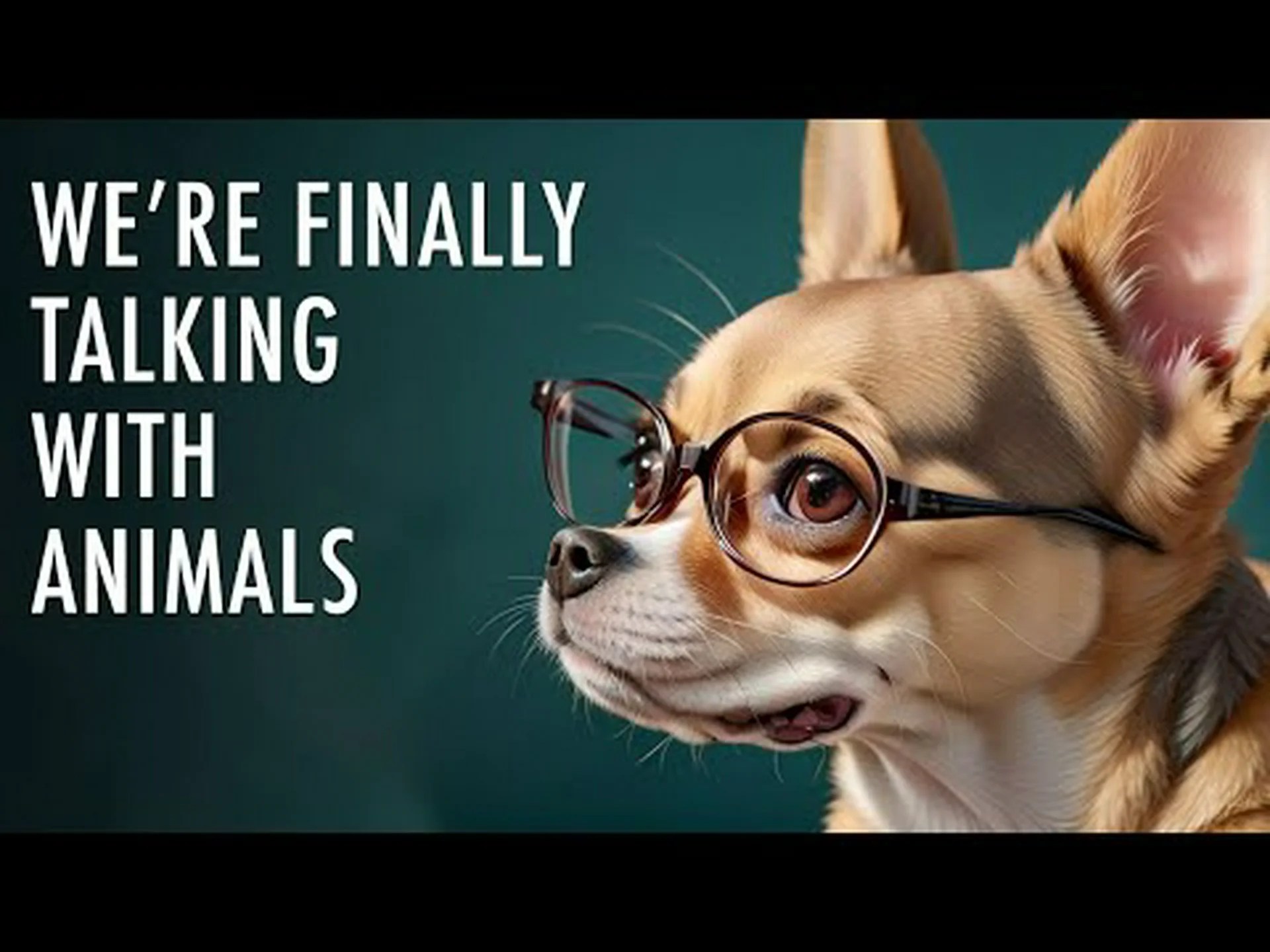 バーモント州の記録上最も寒い 1 月を発見する バーモント州の記録上最も寒い 1 月を発見する