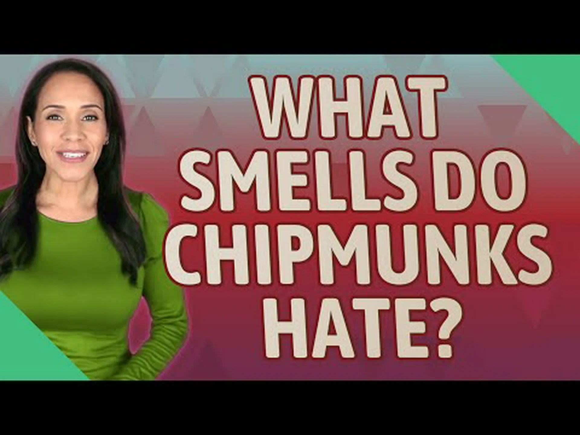 リスとシマリスが絶対に嫌がる11の匂いを発見 リスとシマリスが絶対に嫌がる11の匂いを発見