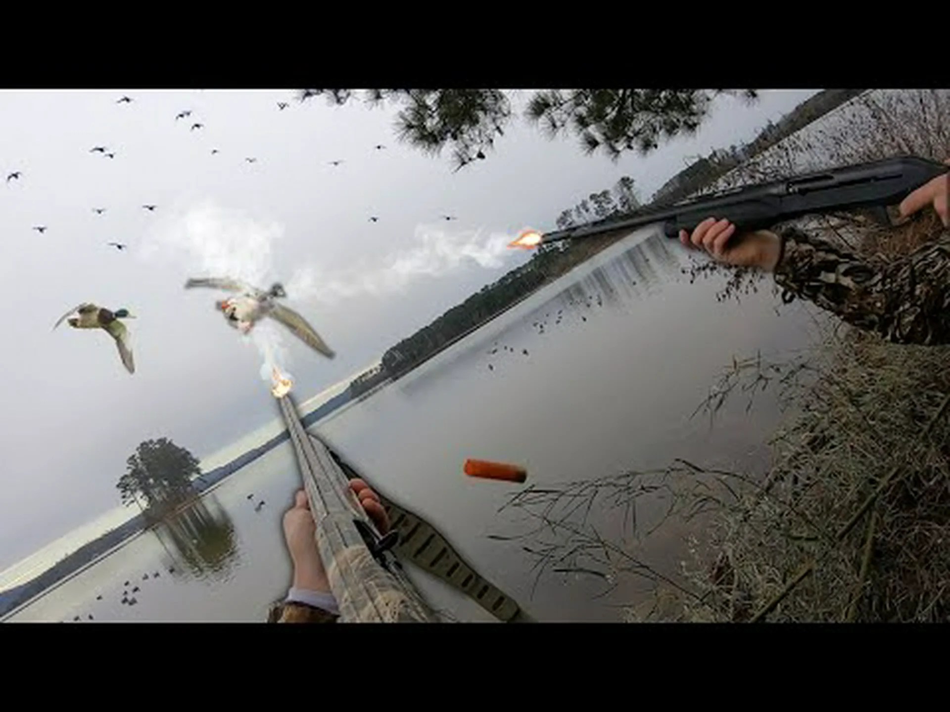 アラバマ州のアヒル狩猟シーズン: シーズン日程、手荷物制限など アラバマ州のアヒル狩猟シーズン: シーズン日程、手荷物制限など