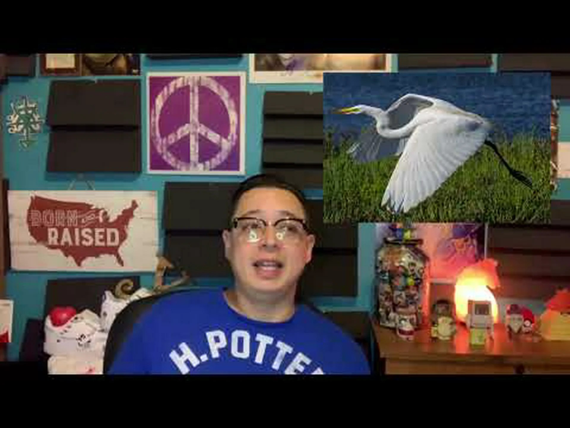 白鷺の目撃情報: スピリチュアルな意味と象徴性を発見する 白鷺の目撃情報: スピリチュアルな意味と象徴性を発見する