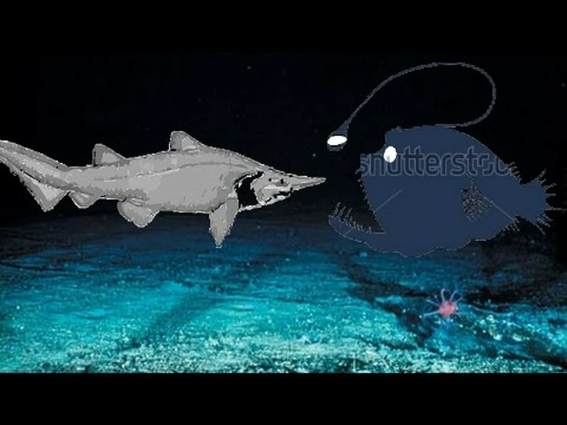 ゴブリンシャーク vs アンコウ: 最も不気味な海の生き物はどれですか? ゴブリンシャーク vs アンコウ: 最も不気味な海の生き物はどれですか?