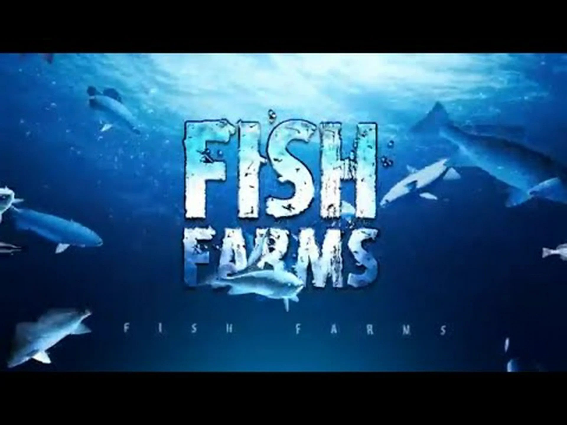 ノースカロライナ州の公式の魚を発見 (そしてこの夏どこでそれを見られるか) ノースカロライナ州の公式の魚を発見 (そしてこの夏どこでそれを見られるか)