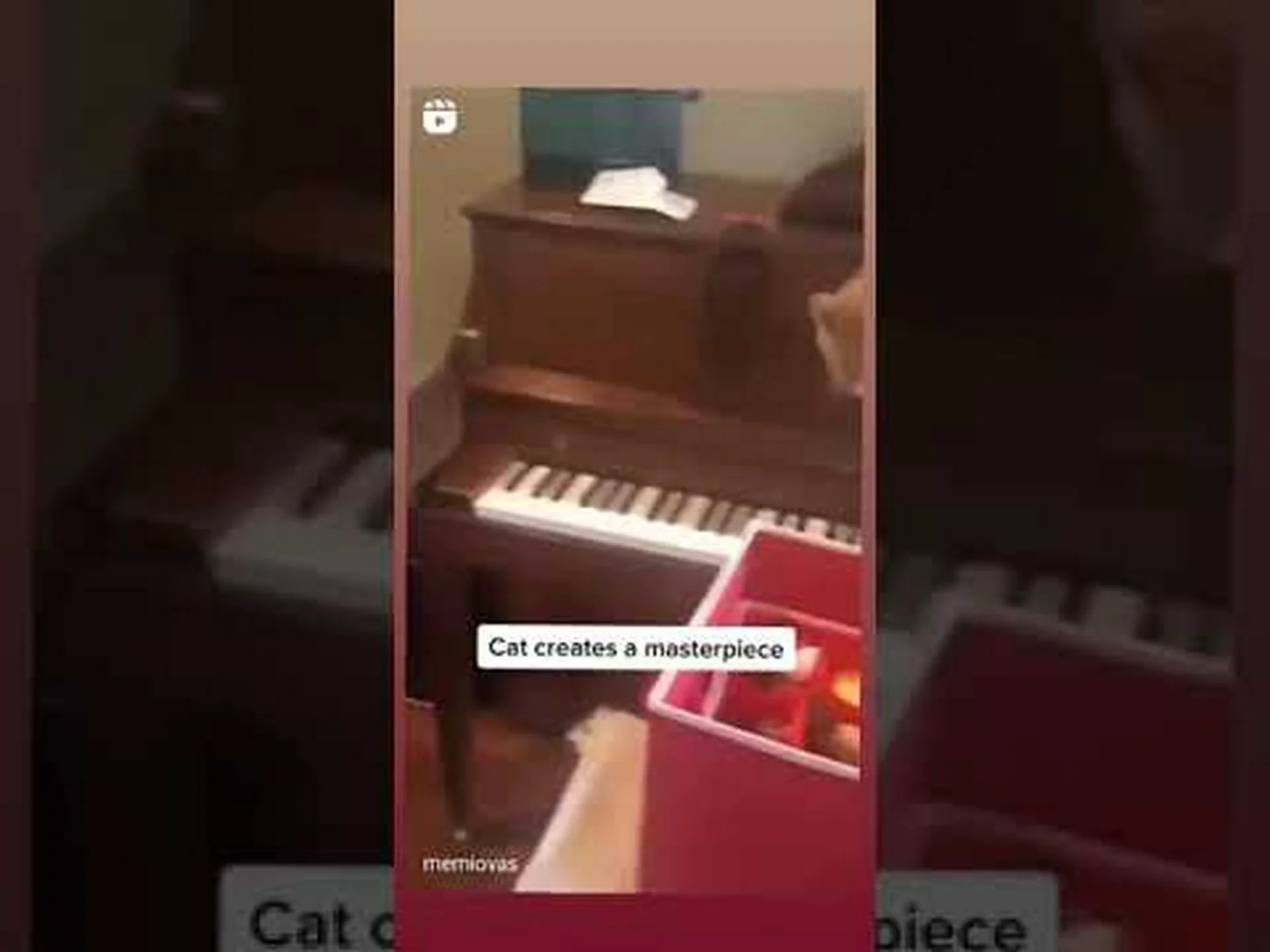 グランドピアノ以上の史上最も重い猫を発見 グランドピアノ以上の史上最も重い猫を発見