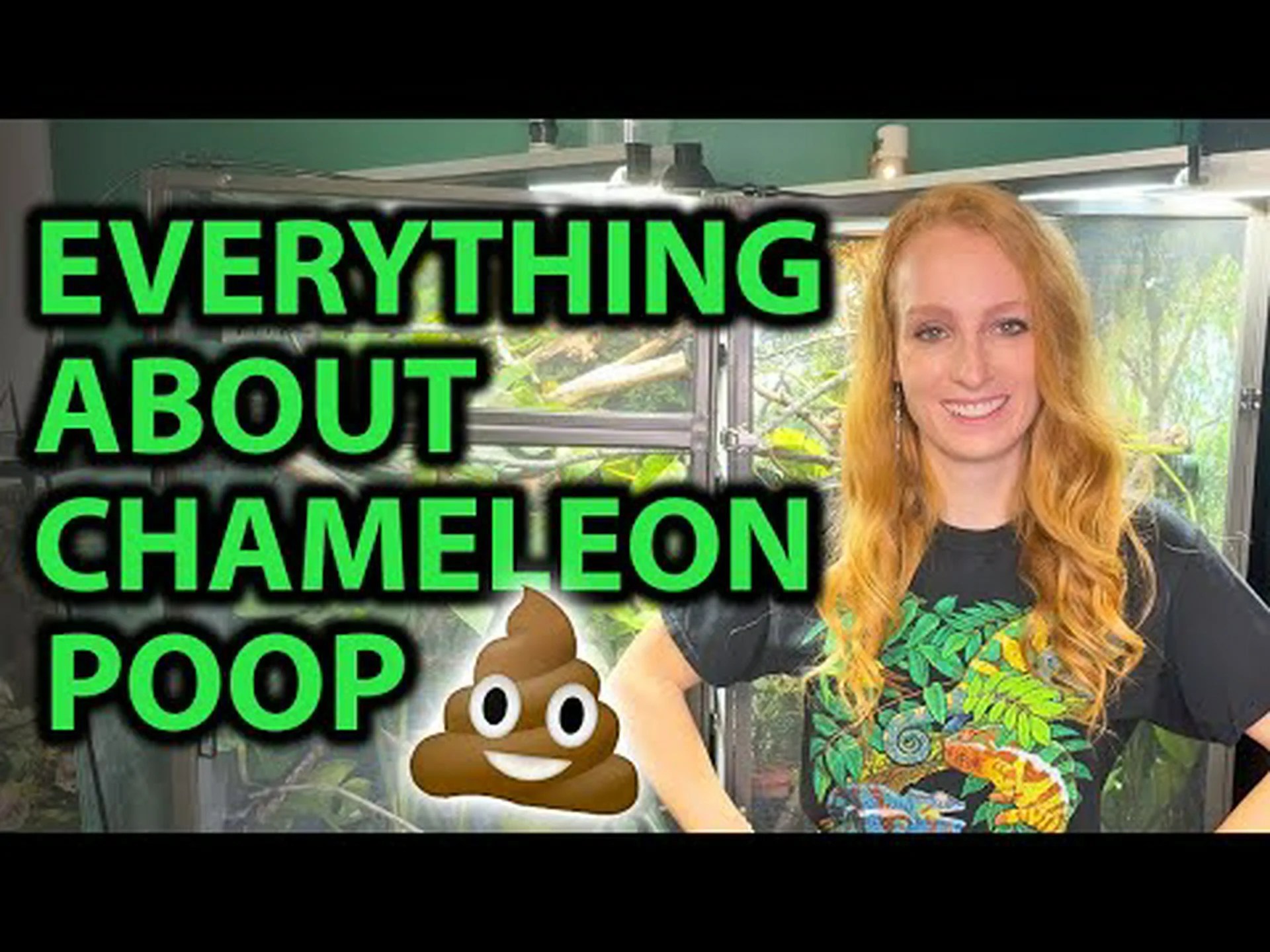 カメレオンのうんこ:あなたが今まで知りたかったすべて カメレオンのうんこ:あなたが今まで知りたかったすべて