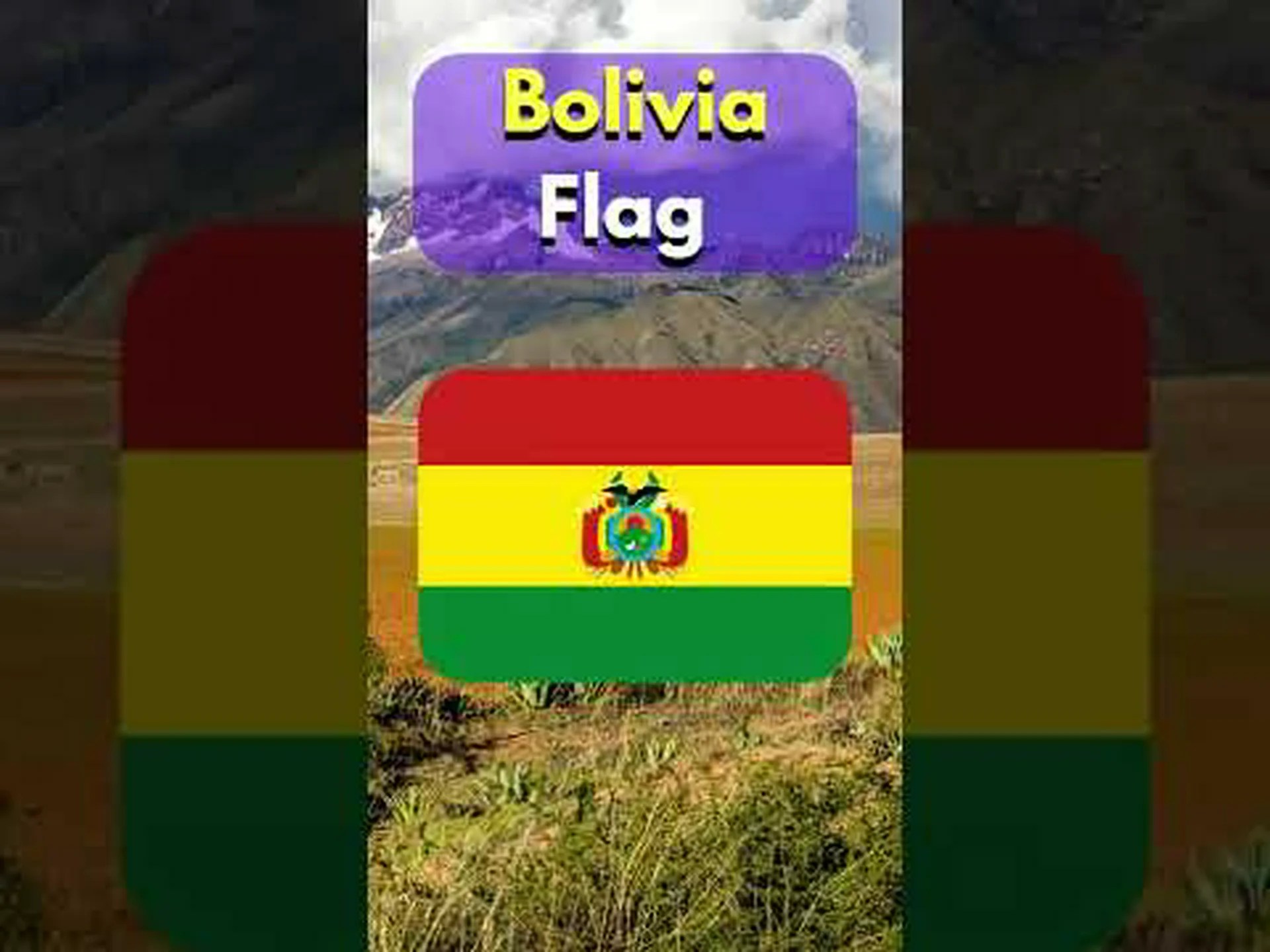 ボリビアの国旗: 歴史、意味、象徴性 ボリビアの国旗: 歴史、意味、象徴性