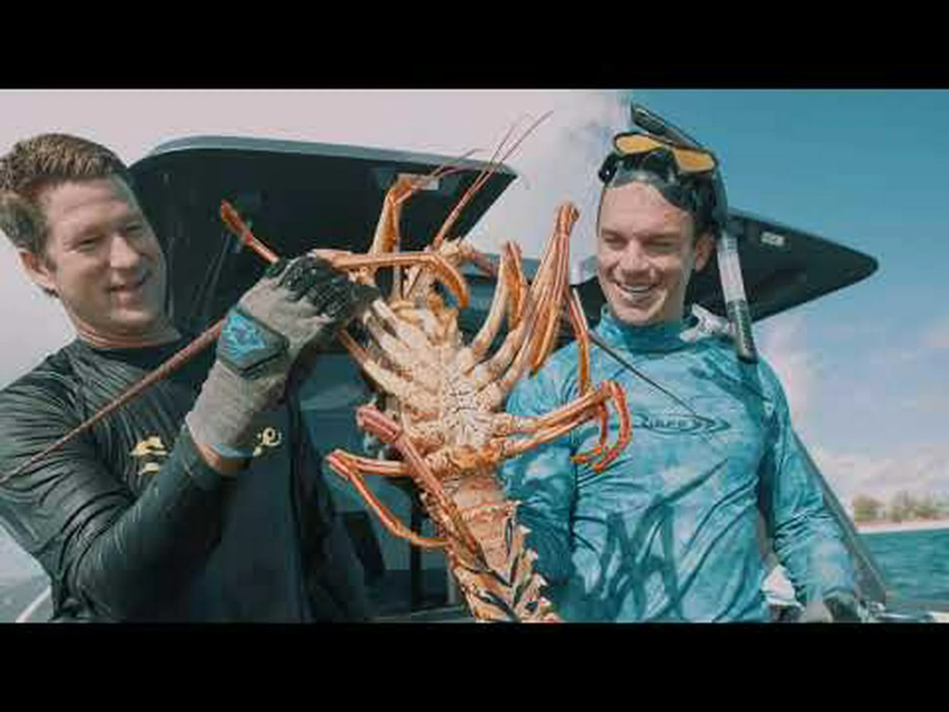 バハマで見つかった 7 つの素晴らしい魚を発見 バハマで見つかった 7 つの素晴らしい魚を発見