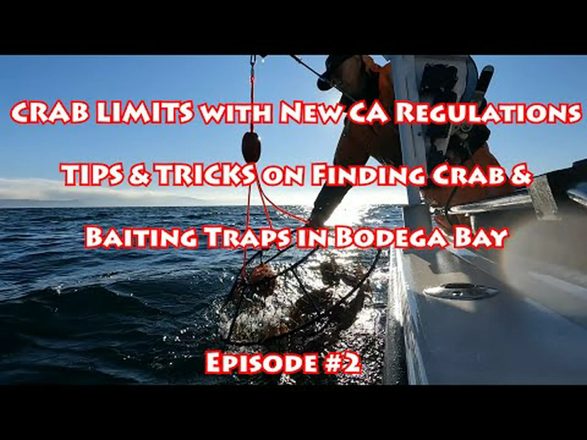 タラバガニの旬:時期、袋の制限、その他の重要なルール タラバガニの旬:時期、袋の制限、その他の重要なルール