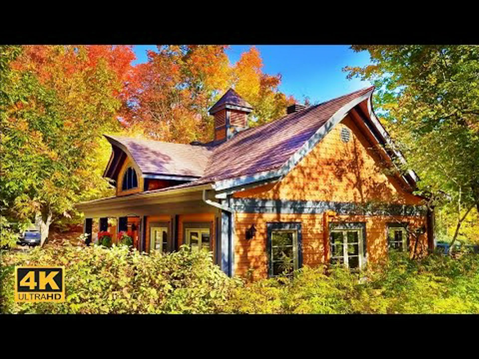 ウィスコンシン州の紅葉の時期を発見 (さらに紅葉が美しい 5 つの場所) ウィスコンシン州の紅葉の時期を発見 (さらに紅葉が美しい 5 つの場所)