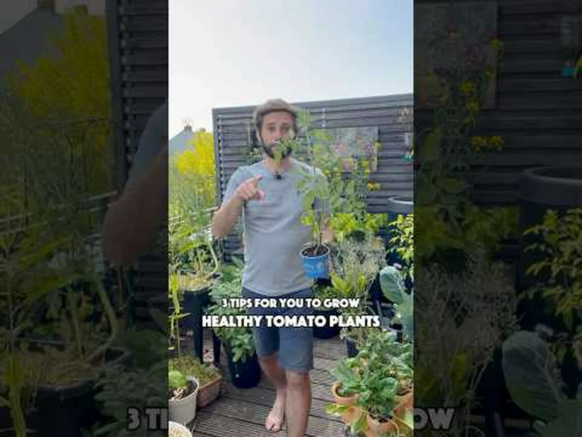 ノースカロライナ州でトマトを植える時期: あなたの庭のための 6 つのヒント ノースカロライナ州でトマトを植える時期: あなたの庭のための 6 つのヒント
