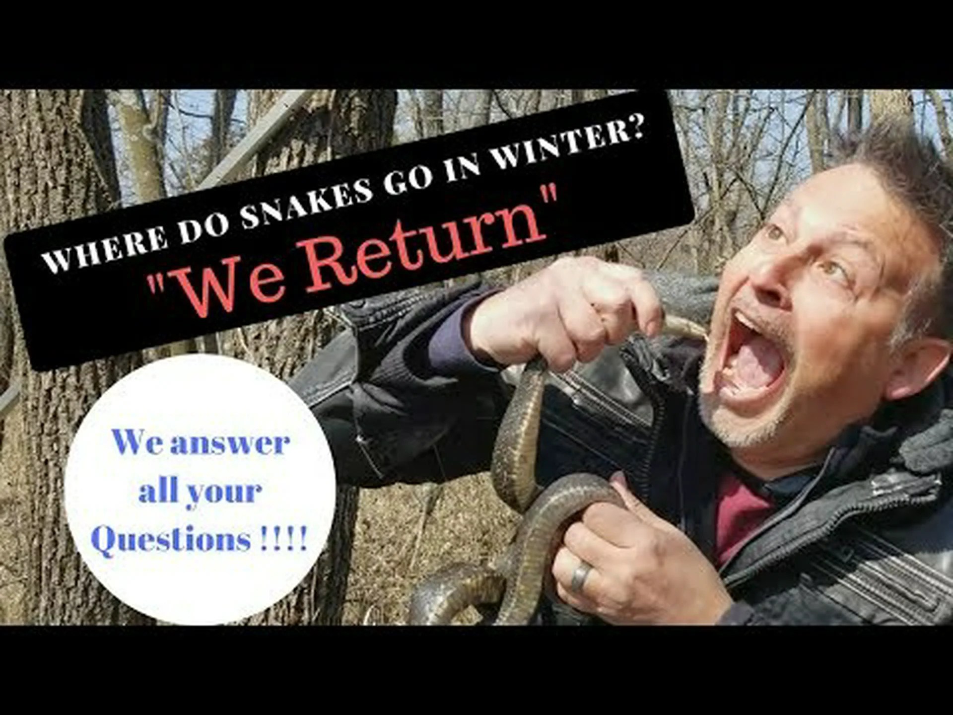 ワタムシヘビは冬にはいなくなるのでしょうか? ワタムシヘビは冬にはいなくなるのでしょうか?