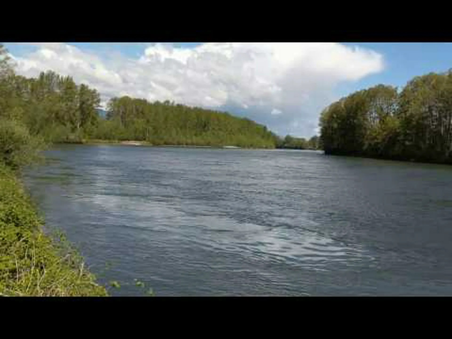 スカジット川には何がありますか?泳ぐのは安全ですか? スカジット川には何がありますか?泳ぐのは安全ですか?