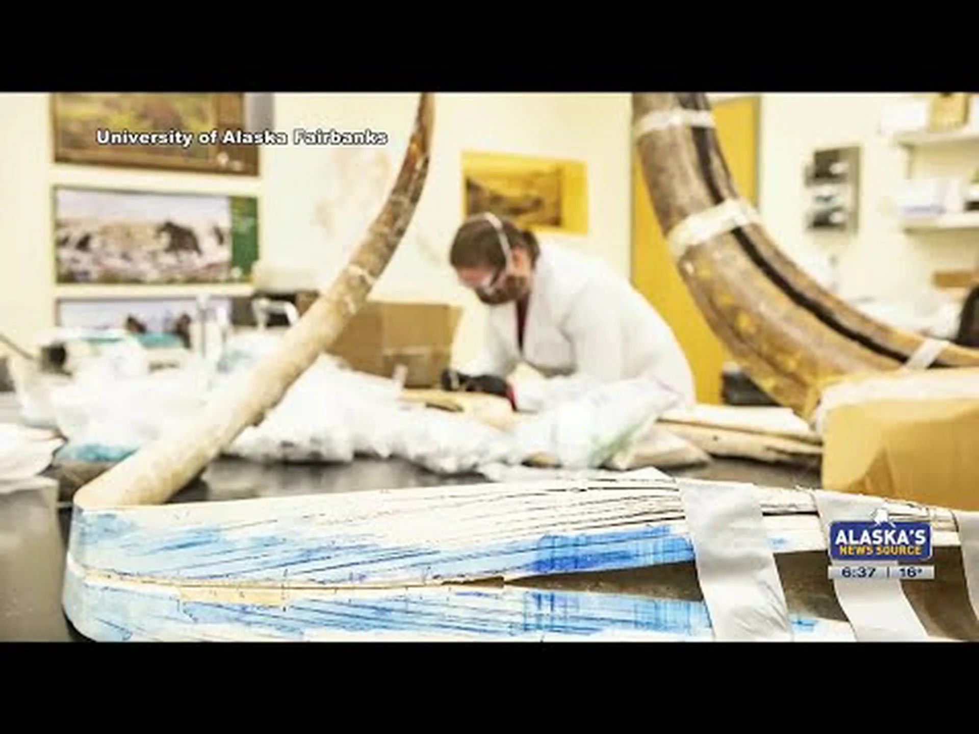 マンモスの牙の謎 マンモスの牙の謎