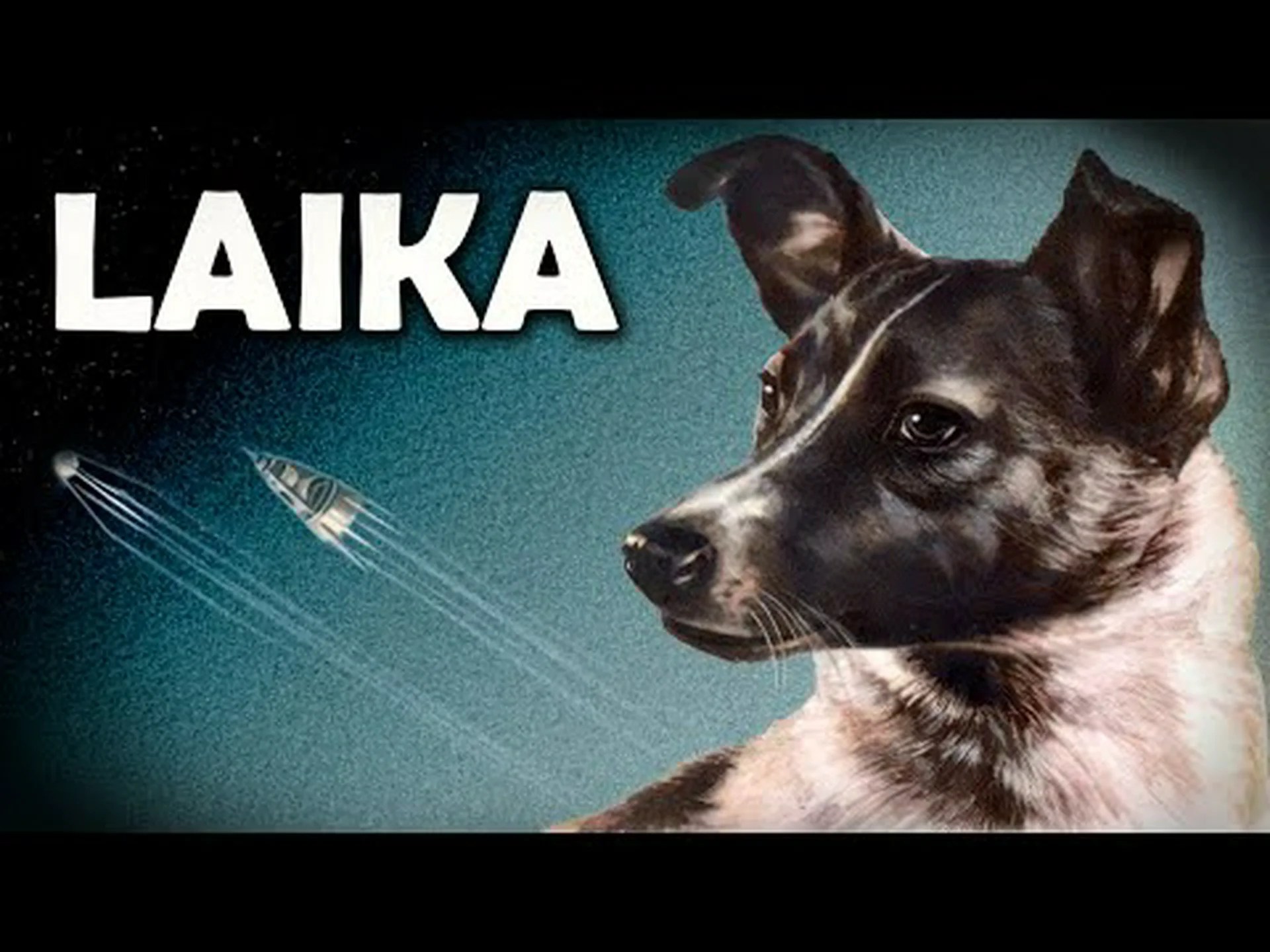 ライカを紹介 – 初めて宇宙に行った犬 ライカを紹介 – 初めて宇宙に行った犬