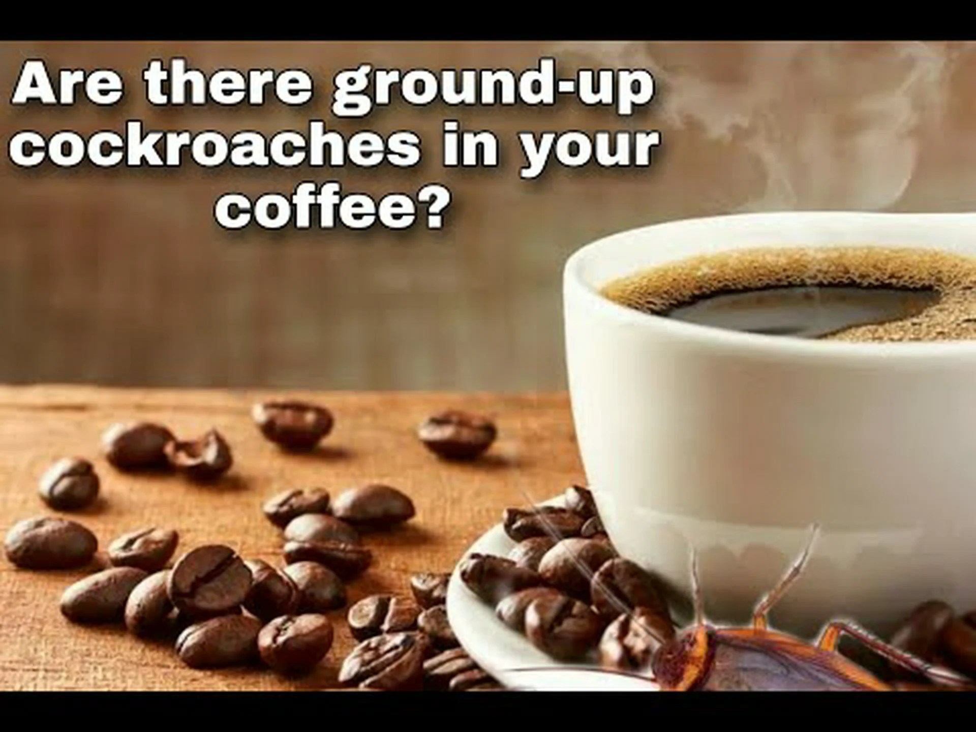コーヒーにはゴキブリがいるの?神話と現実 コーヒーにはゴキブリがいるの?神話と現実