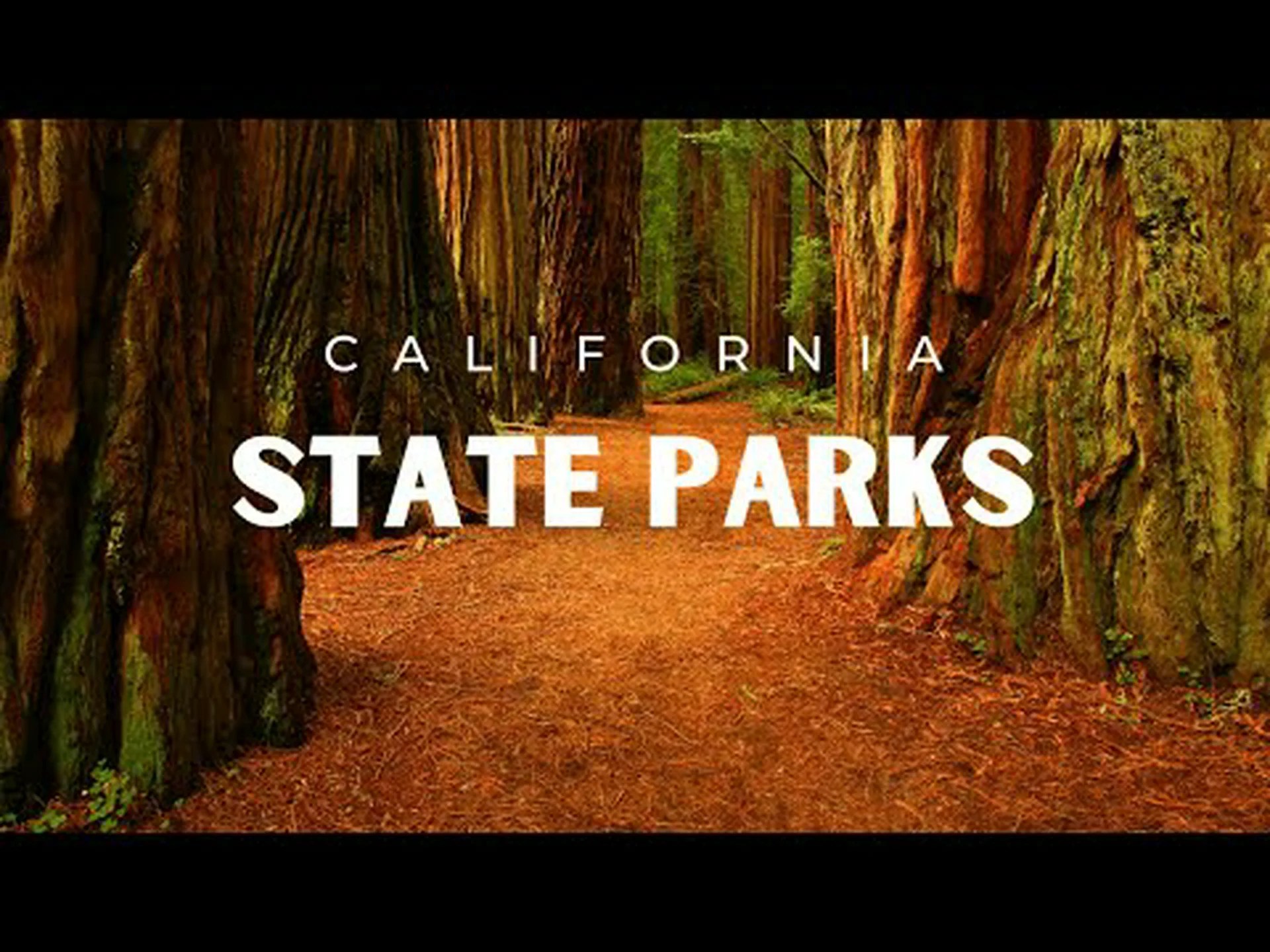 カリフォルニアで最も美しい州立公園 12 選 カリフォルニアで最も美しい州立公園 12 選