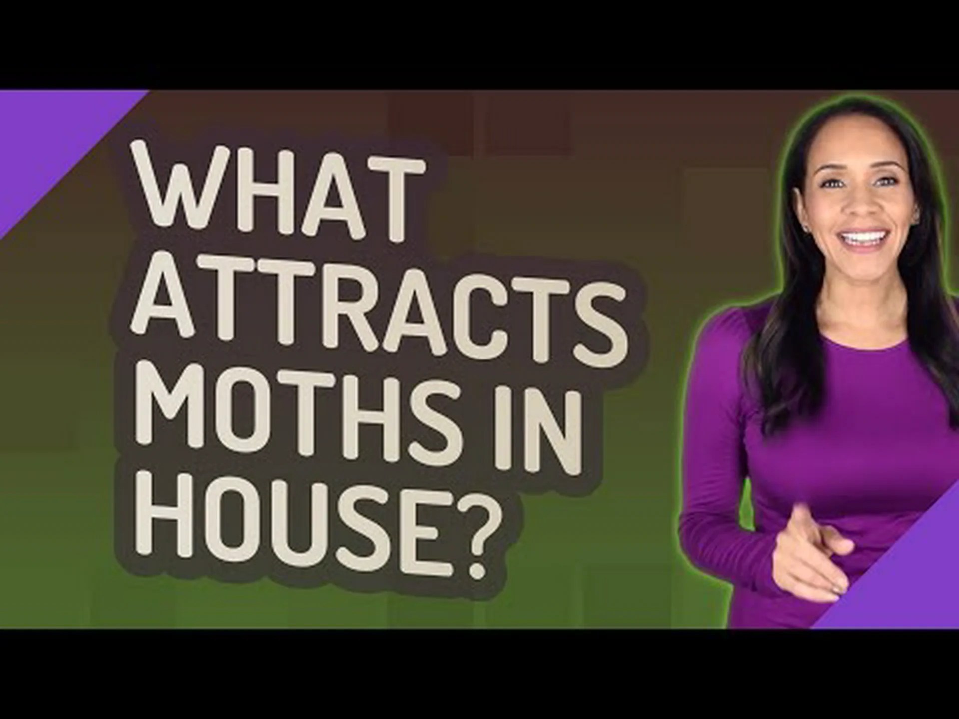 何が蛾を惹きつけるのかを発見してください: なぜ私の家にはこんなにたくさんの蛾がいるのでしょう? 何が蛾を惹きつけるのかを発見してください: なぜ私の家にはこんなにたくさんの蛾がいるのでしょう?