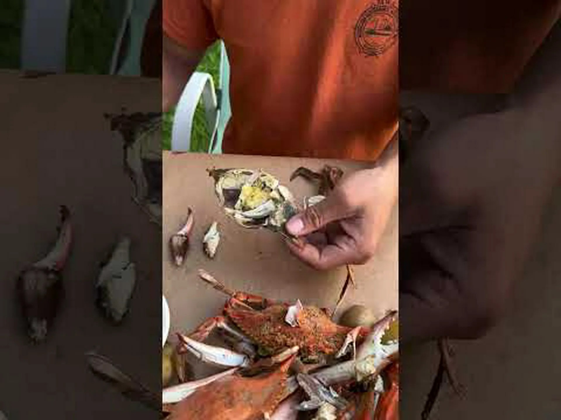 メリーランド州のカニ狩りシーズン: タイミング、手荷物制限、その他の重要な規則 メリーランド州のカニ狩りシーズン: タイミング、手荷物制限、その他の重要な規則