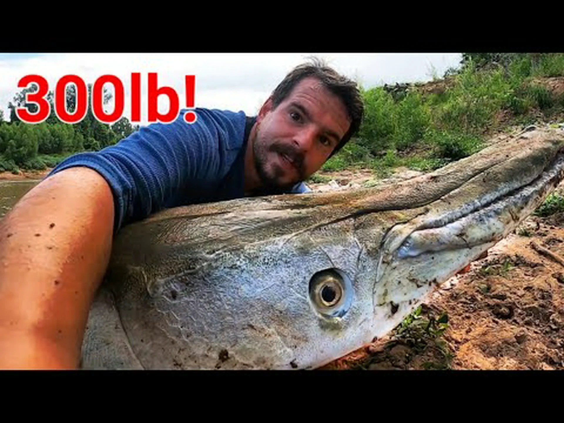 アラバマ州で史上最大のアリゲーターガーを発見 アラバマ州で史上最大のアリゲーターガーを発見