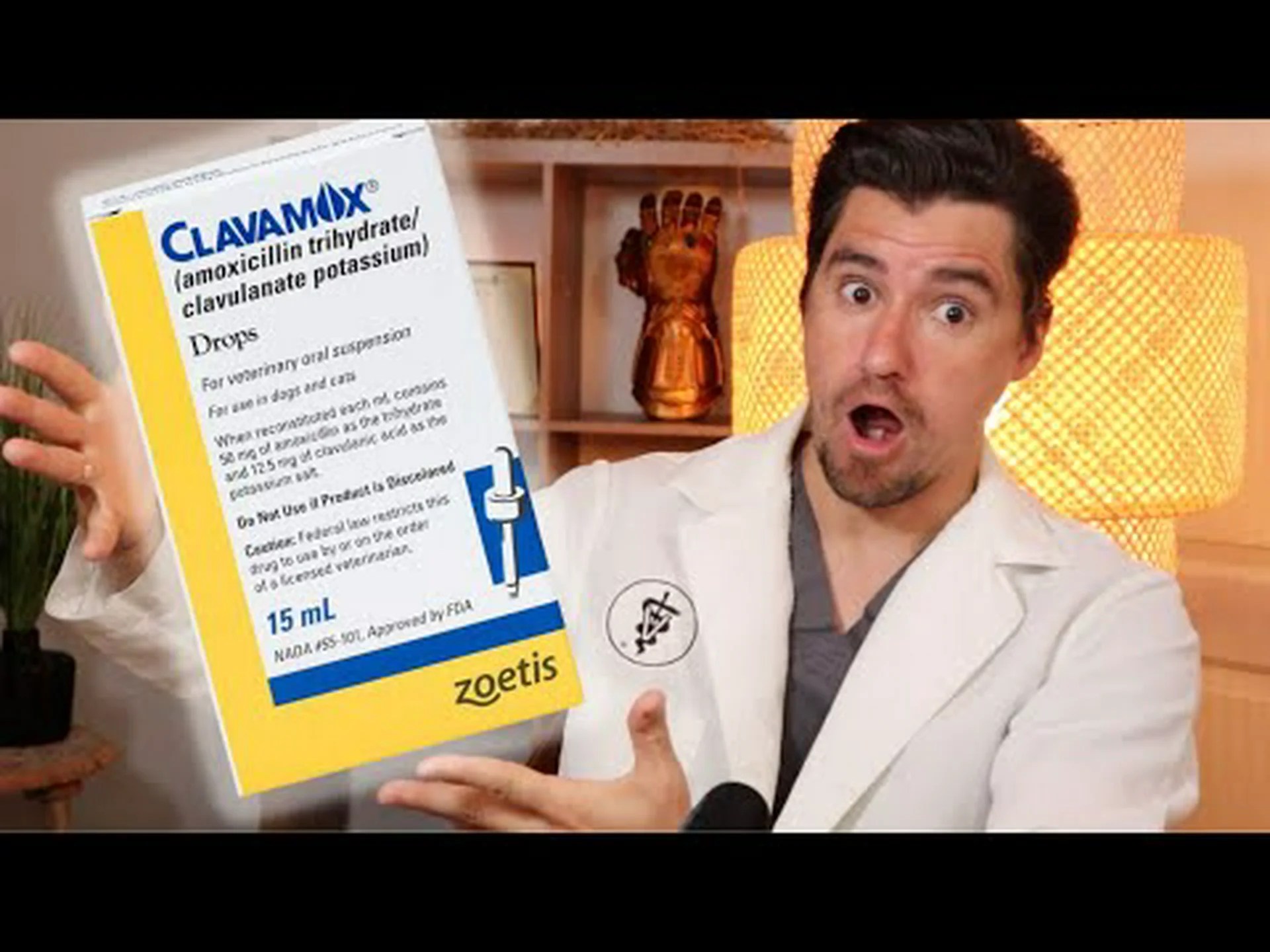 猫用クラバモックス用量表:リスク、副作用、用量など 猫用クラバモックス用量表:リスク、副作用、用量など