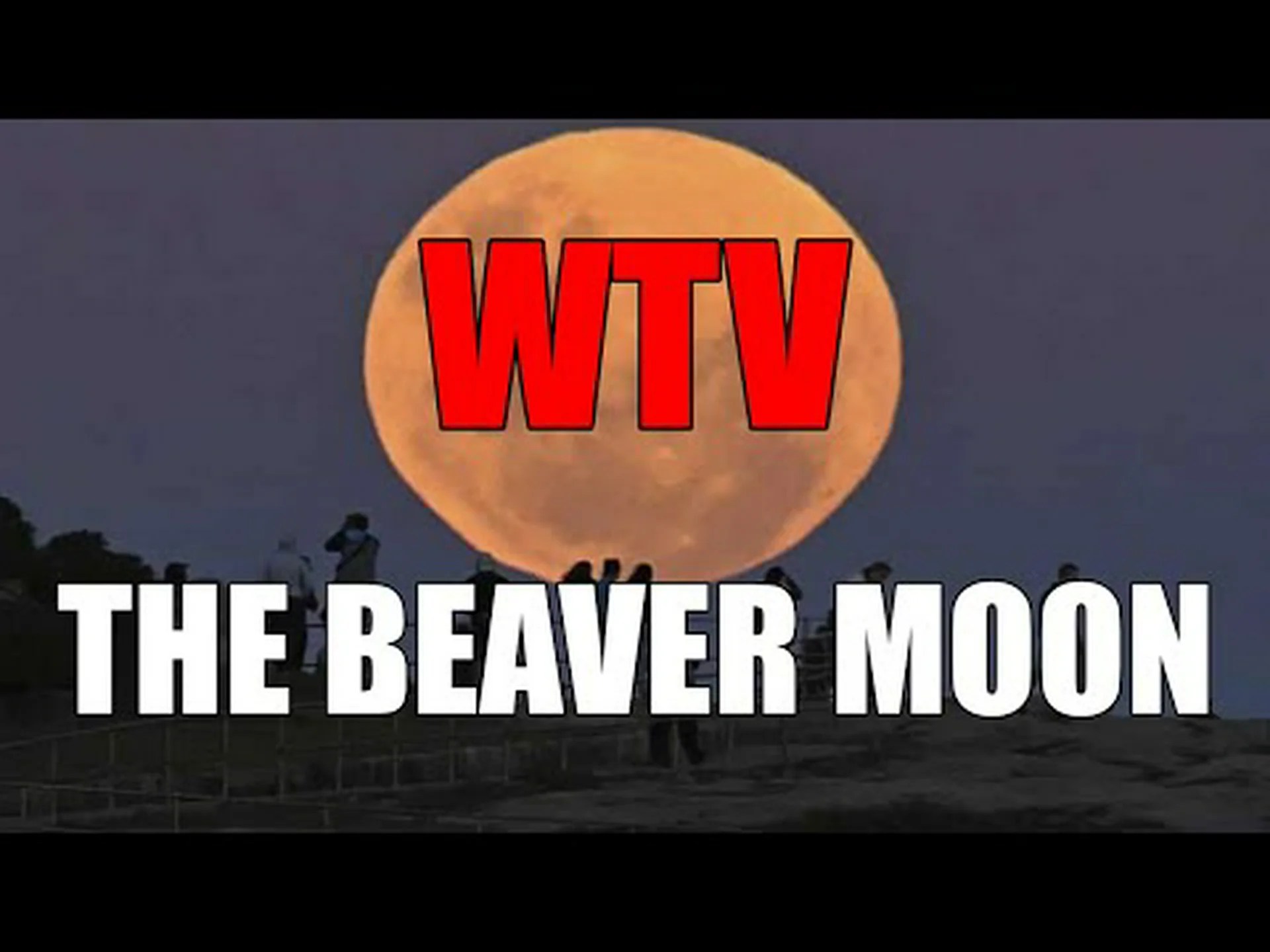 11月の満月:ビーバームーンの起源と意味を探る 11月の満月:ビーバームーンの起源と意味を探る