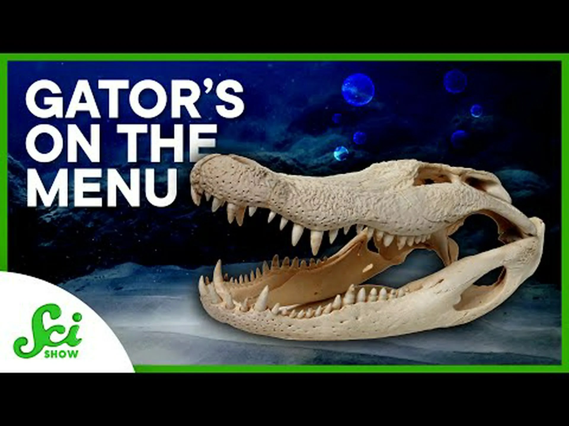 科学者たちがワニの死骸をメキシコ湾に投下する理由を解明する 科学者たちがワニの死骸をメキシコ湾に投下する理由を解明する