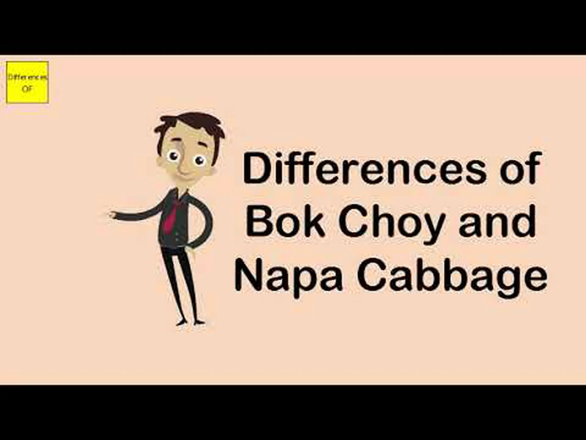 白菜とチンゲンサイ: 違いは何ですか? 白菜とチンゲンサイ: 違いは何ですか?