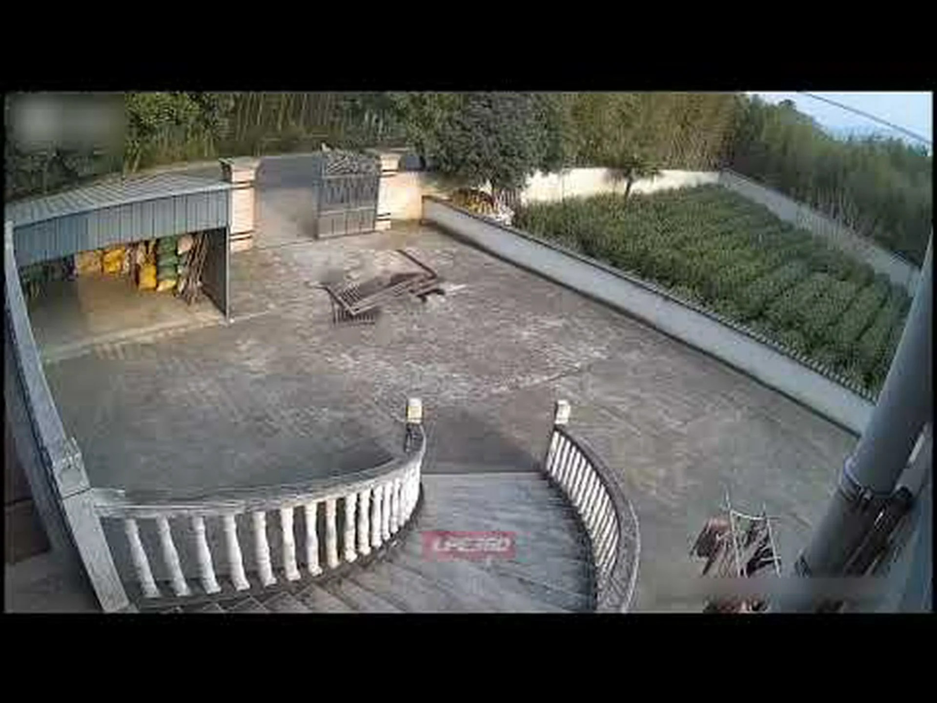 イノシシがハルクに衝撃を与え、金属製のセキュリティゲートを破壊 イノシシがハルクに衝撃を与え、金属製のセキュリティゲートを破壊