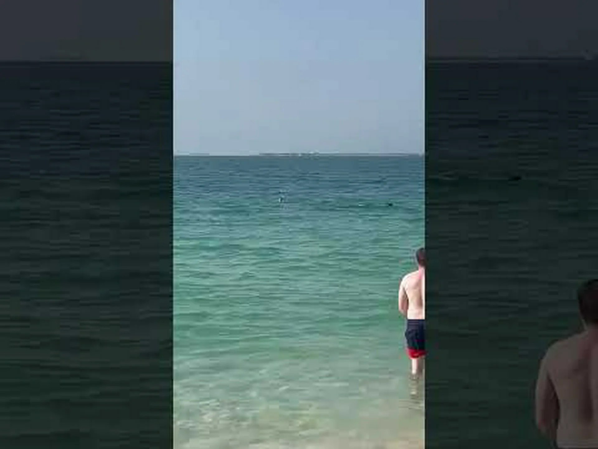 ドバイのビーチで泳ぐ人たちは、巨大なサメが目の前に迫ってきて、命の恐怖を感じる ドバイのビーチで泳ぐ人たちは、巨大なサメが目の前に迫ってきて、命の恐怖を感じる
