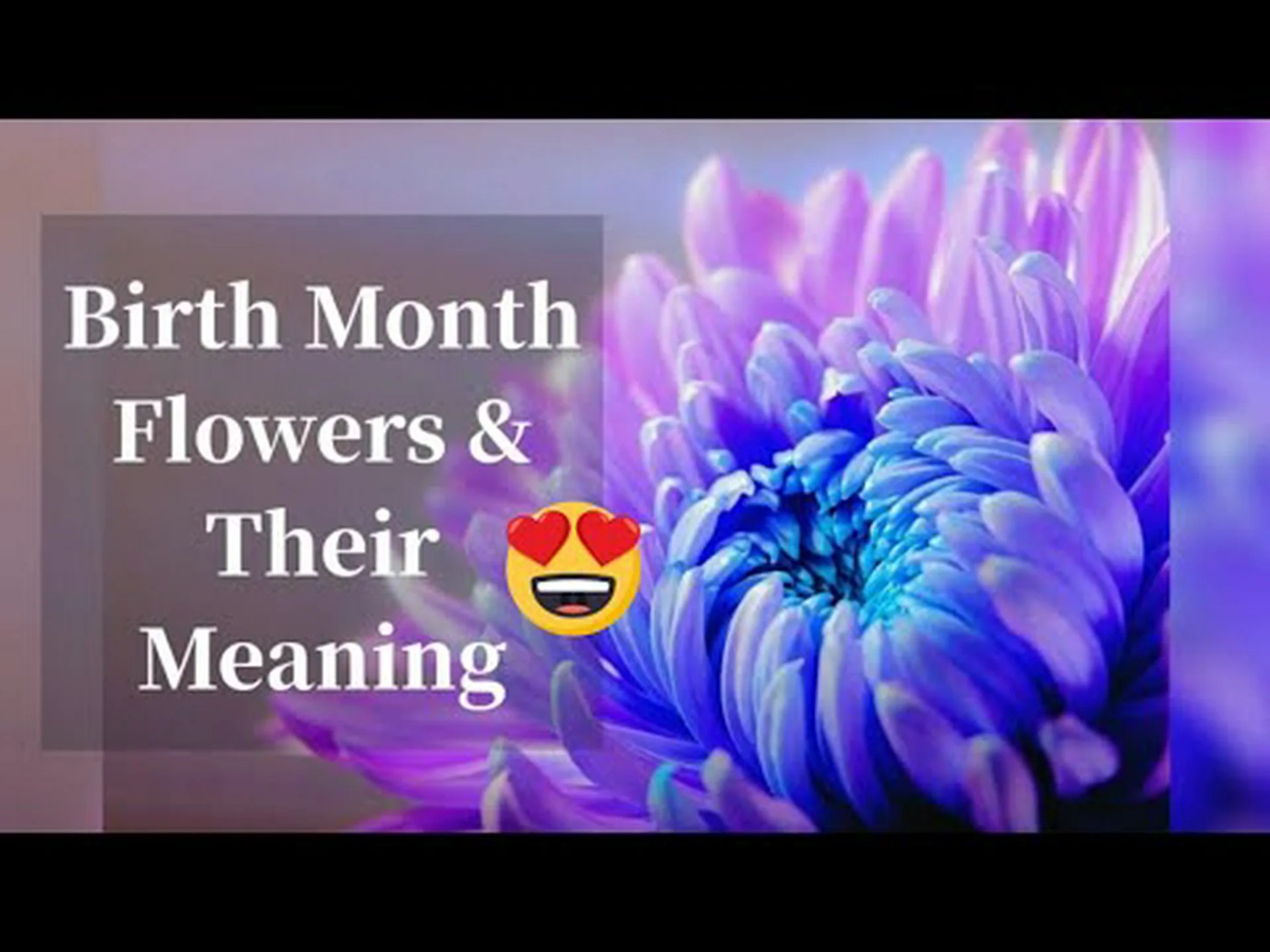 8月の誕生花:グラジオラスとポピーの象徴と意味 8月の誕生花:グラジオラスとポピーの象徴と意味