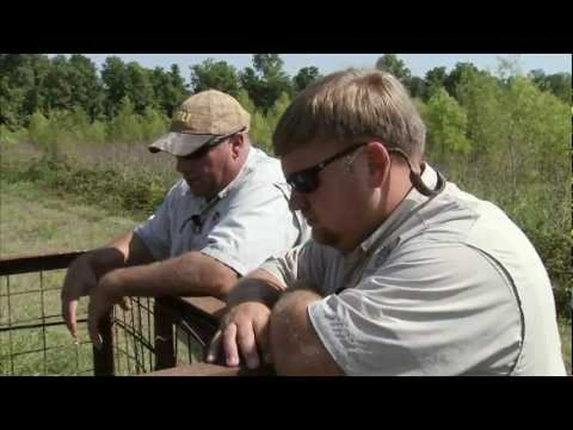 ルイジアナ州の野生豚: 何頭いて、どこに住んでいますか? ルイジアナ州の野生豚: 何頭いて、どこに住んでいますか?