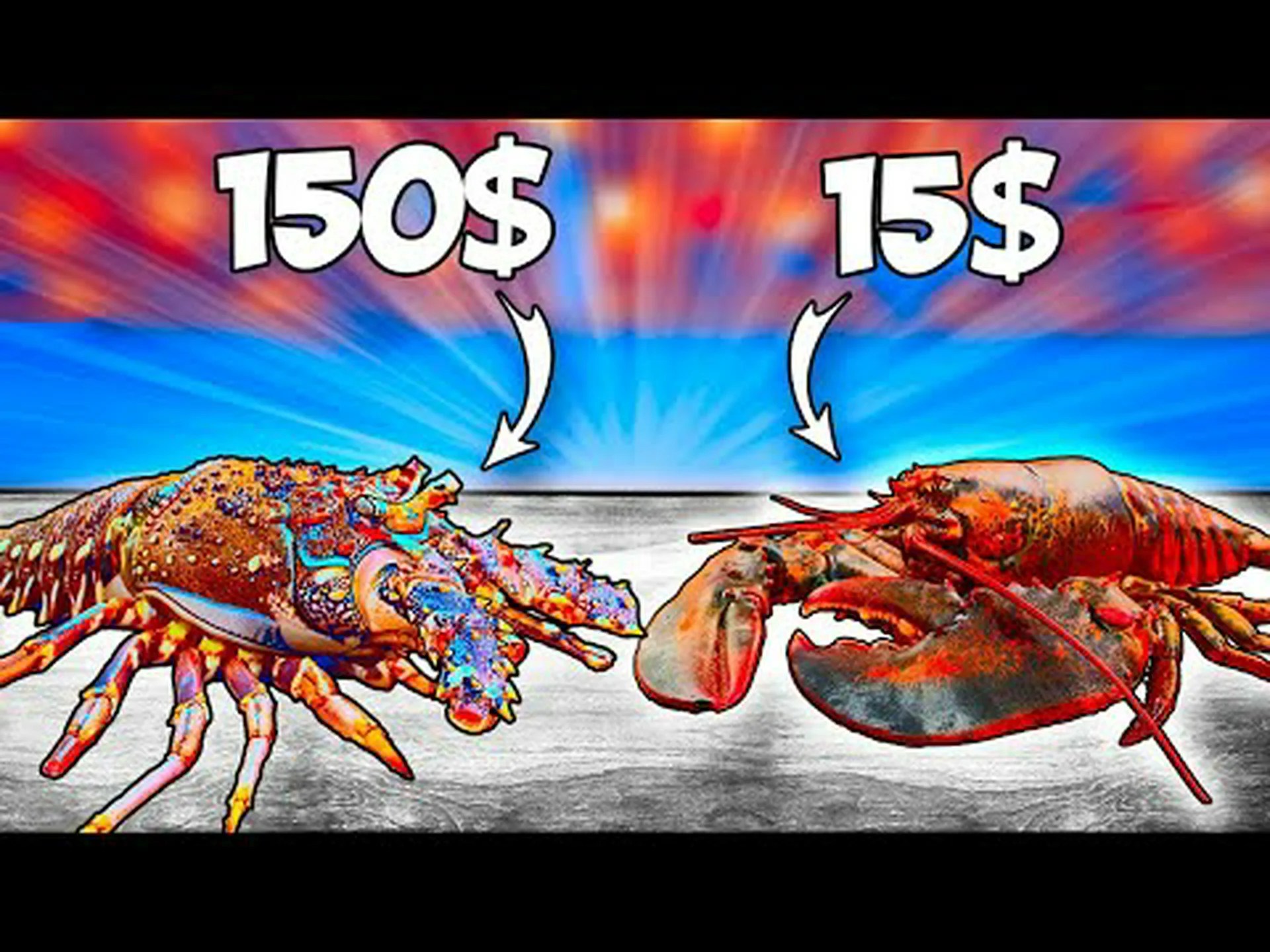 イセロブスターとメインロブスター: 違いは何ですか? イセロブスターとメインロブスター: 違いは何ですか?