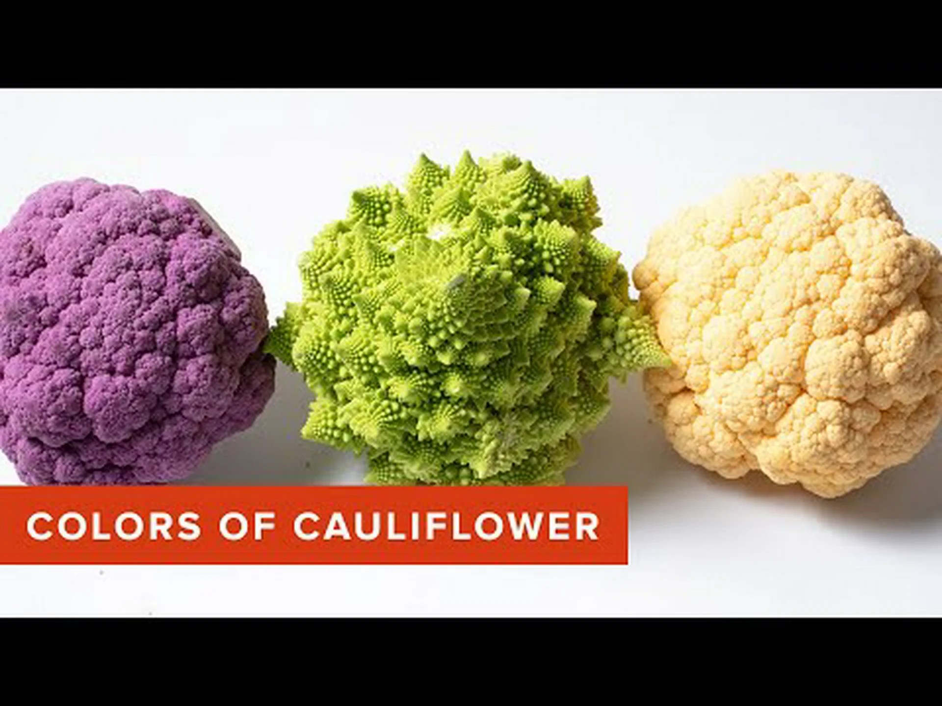 紫カリフラワーと白カリフラワー: どれくらい違いますか? 紫カリフラワーと白カリフラワー: どれくらい違いますか?