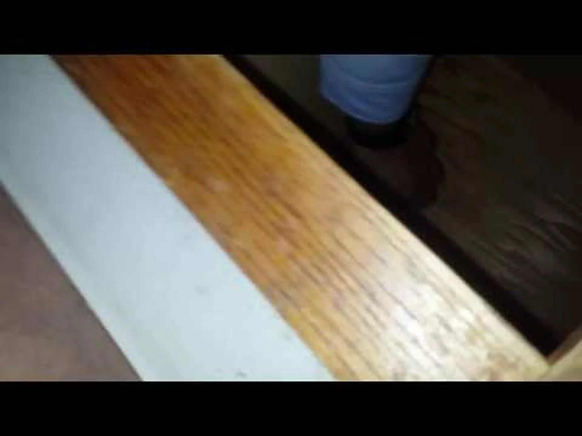 ゴキブリの糞: ゴキブリの糞とネズミの糞の識別 (その他) ゴキブリの糞: ゴキブリの糞とネズミの糞の識別 (その他)