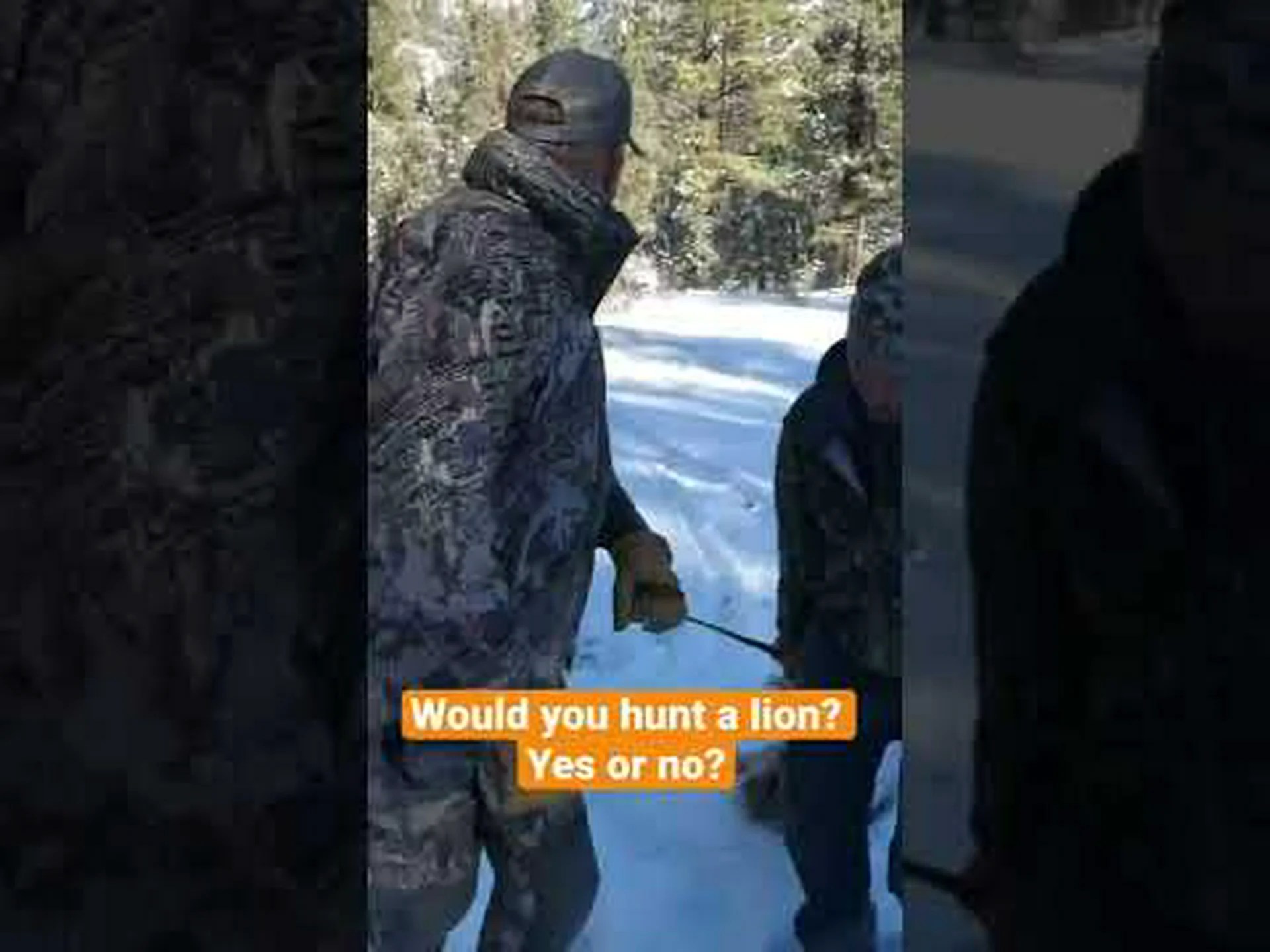 男性と忠実な犬が協力して敵対的なクーガーを追い出す様子をご覧ください 男性と忠実な犬が協力して敵対的なクーガーを追い出す様子をご覧ください